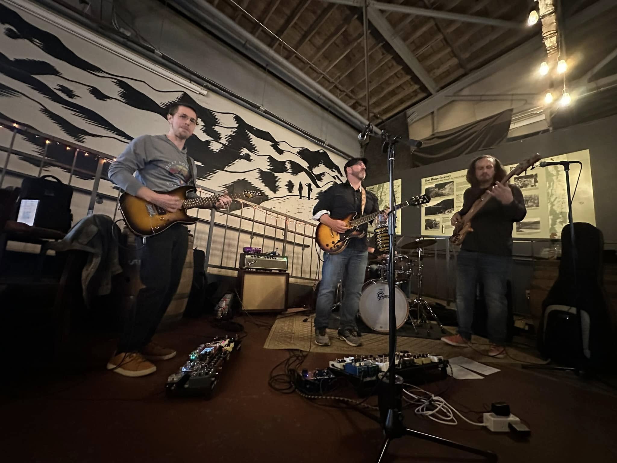 Mama Roux performing live in front of a Blue Ridge mountain mural